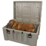Pager item 2